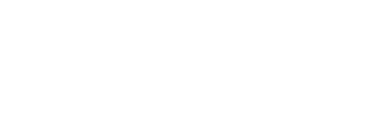 Qlik